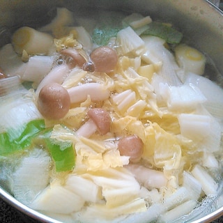 白菜しめじネギのフレッシュスープ